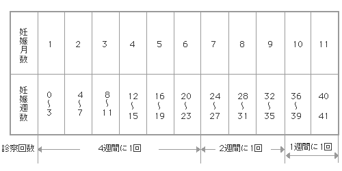 妊娠週数に伴う定期診察のお知らせ画像