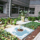 二階東玄関 中庭